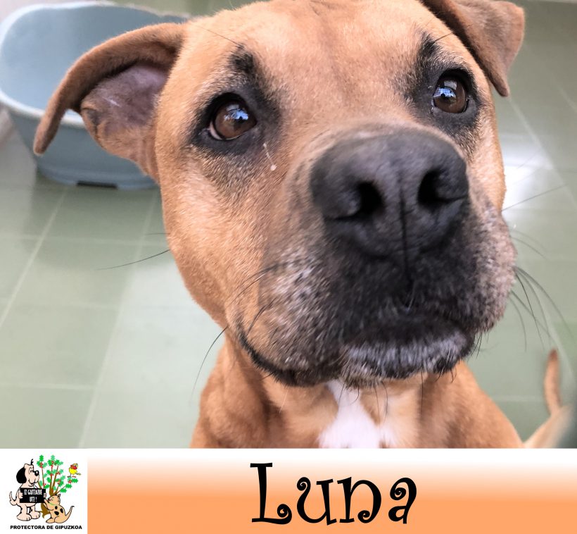 (Español) LUNA (Español) LUNA