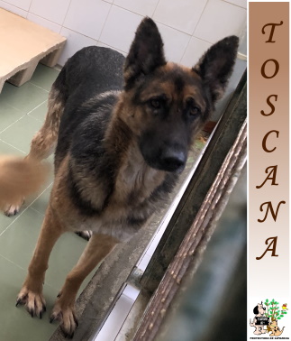(Euskera) TOSCANA (Euskera) TOSCANA