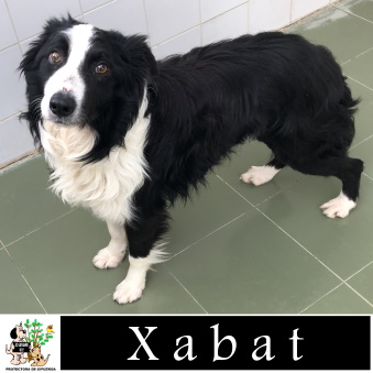 (Español) XABAT