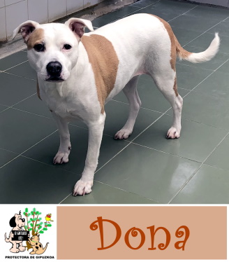 ADOPTADA ADOPTADA
