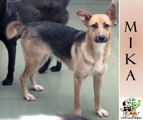 (Español) ADOPTADA (Español) ADOPTADA