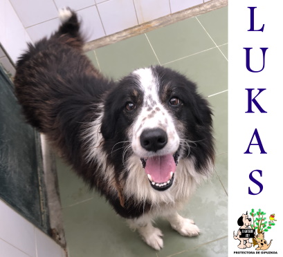 (Español) LUKAS (Español) LUKAS