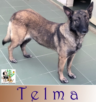 TELMA