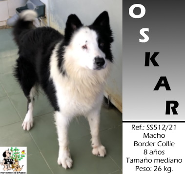 ADOPTADO ADOPTADO
