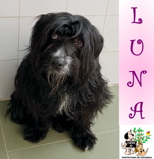 (Español) ADOPTADA (Español) ADOPTADA