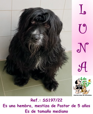 (Español) ADOPTADA (Español) ADOPTADA