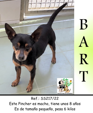 (Español) ADOPTADO (Español) ADOPTADO