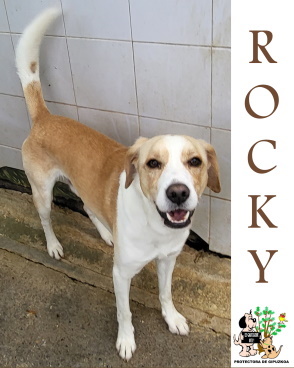 (Español) ADOPTADO (Español) ADOPTADO