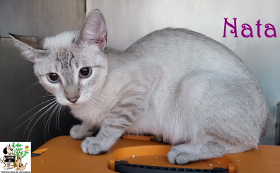 (Español) ADOPTADA