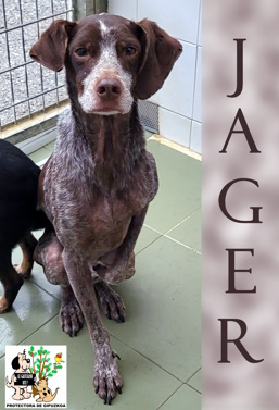 JAGER JAGER