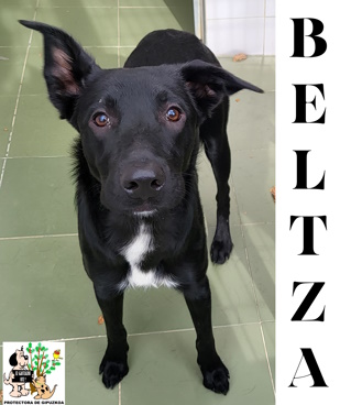 BELTZA BELTZA