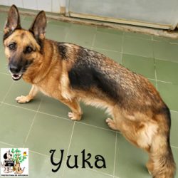 (Español) YUKA