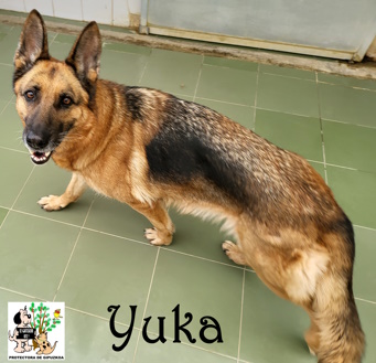 (Español) YUKA