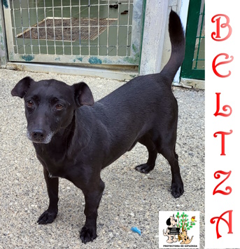 BELTZA BELTZA