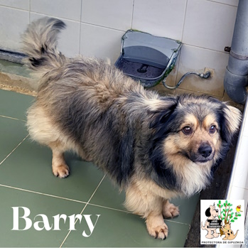 BARRY BARRY