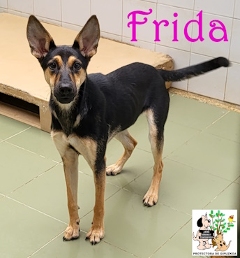 ADOPTADA ADOPTADA