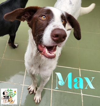 (Español) MAX