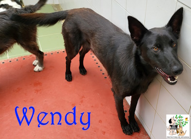 WENDY WENDY