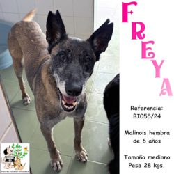 (Español) FREYA