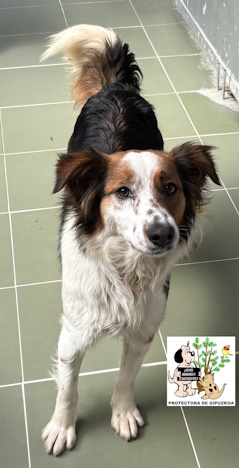 (Español) RUBI (Español) RUBI