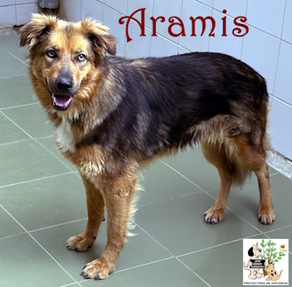 (Español) ARAMIS