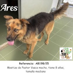 ARES