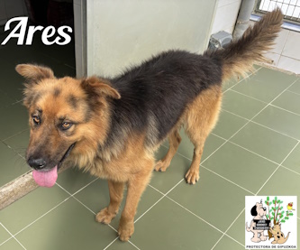 ARES ARES
