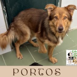 PORTOS