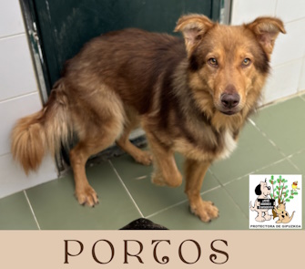 PORTOS