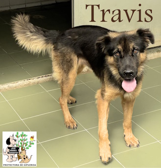 TRAVIS TRAVIS